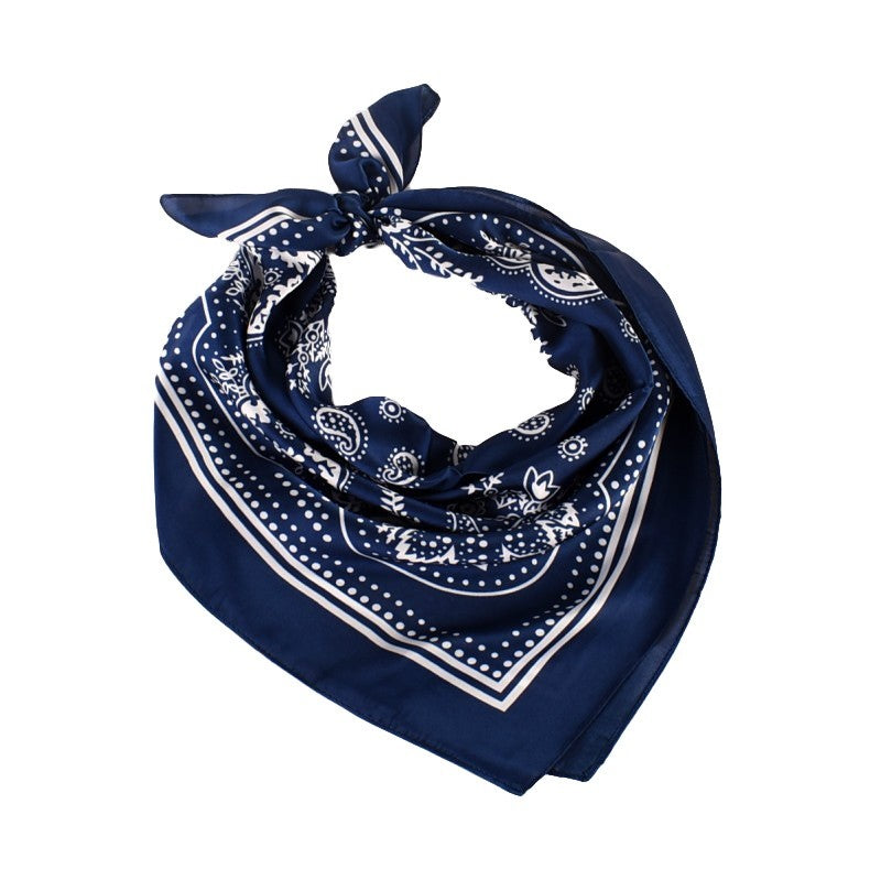 Selene Paisley Satin Scarf